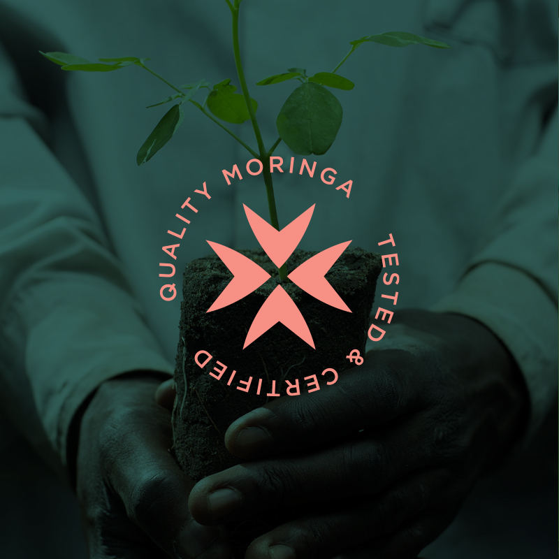 Branding LEAFS From Kenya